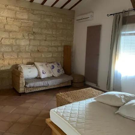 Les Olivades Holiday home Vauvert