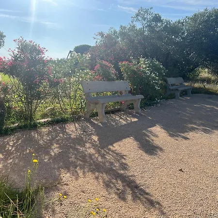 Les Olivades